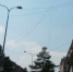 Бой бесхозным проводам: мэр Новокузнецка подберёт «сопли» - VashGorod.Ru