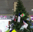 Видео - ТВН