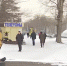 Видео - ТВН