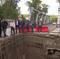 Видео - ТВН
