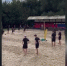 Видео - ТВН