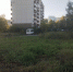 Бедный родственник - Газета Кузнецкий рабочий