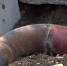 Видео - ТВН