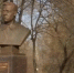 Видео - ТВН