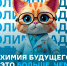 Олимпиада РУСАЛа «13 Элемент. Алхимия Будущего» начинается! - СибГИУ