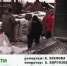 Видео - ТВН