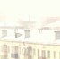 Видео - ТВН