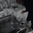Видео - ТВН
