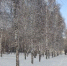 В Кузбассе в понедельник днём ожидаются температуры от -7°С до -26°С - ИА Город Новостей