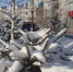 В Кузбассе в ближайшие дни ожидается тёплая снежная погода - ИА Город Новостей