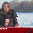Видео - ТВН