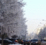 В День защитника Отечества в Кузбассе будет очень холодно - ИА Город Новостей