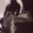 Видео - ТВН