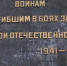 Видео - ТВН