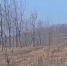 Видео - ТВН