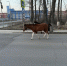 Фото:  () - ИА Город Новостей
